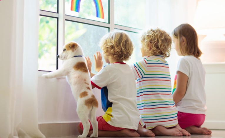 Coverage for School-Visiting Dogs