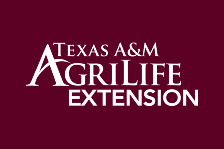 Texas A&M AgriLife Extension