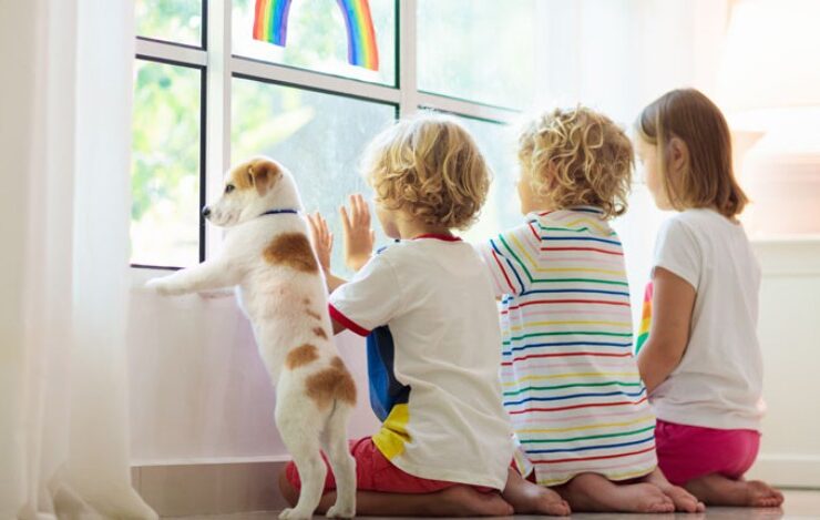 Coverage for School-Visiting Dogs