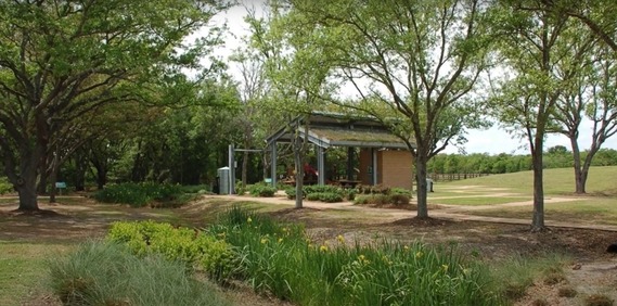 cleancoasttexas-rain-garden_crop